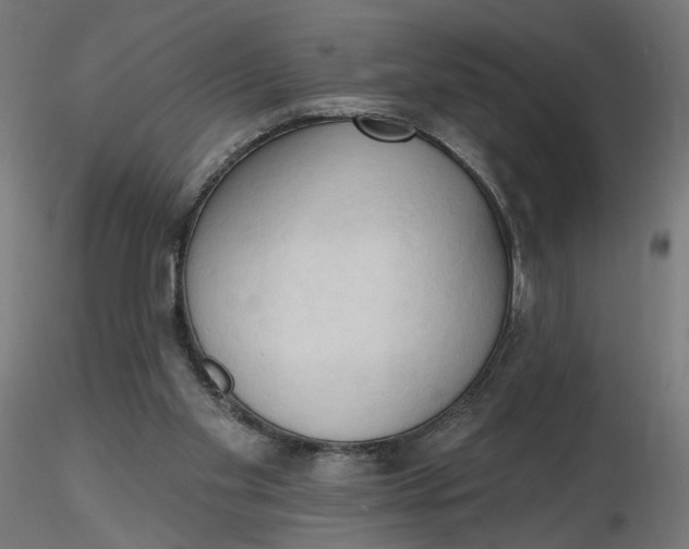 X0000116510109200912231241