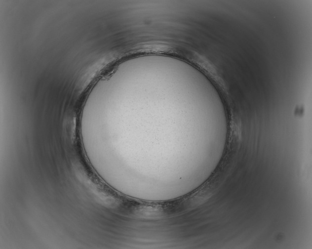 X0000116510110200912231241