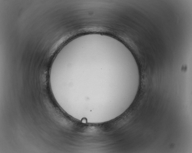 X0000116510111200912231241