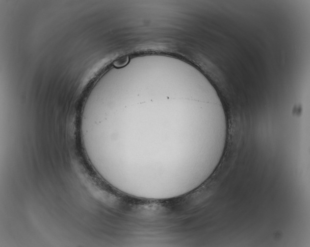 X0000116510112200912231241