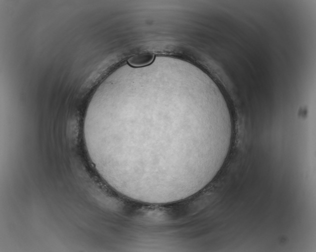 X0000116510113200912231241