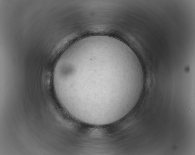 X0000116510115200912231241