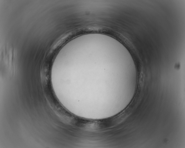 X0000116510116200912231241