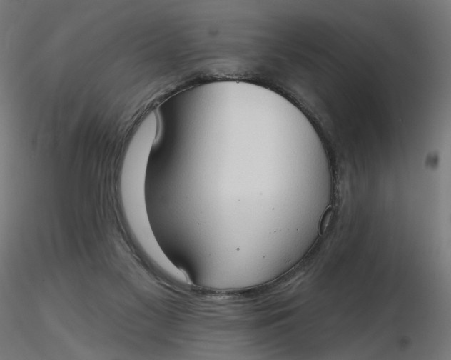 X0000116510117200912231241