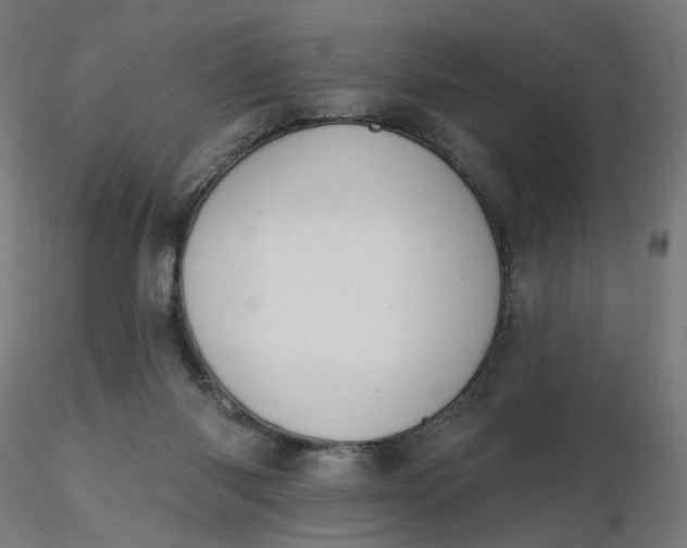 X0000116510118200912231241