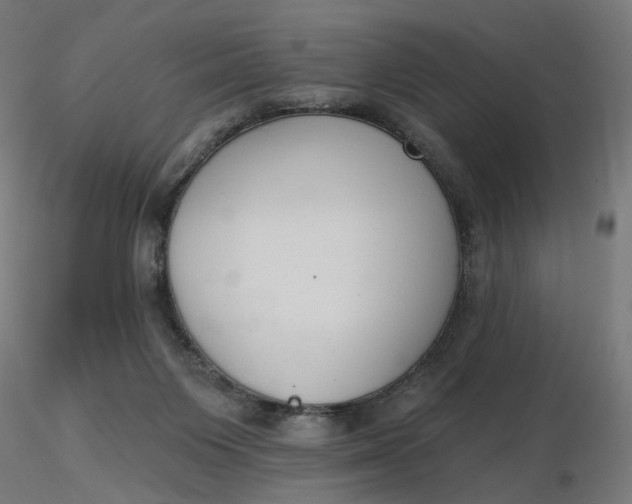 X0000116510119200912231241