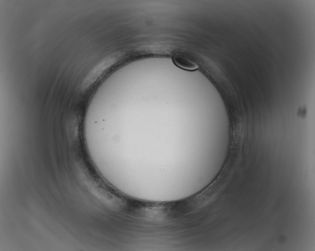 X0000116510120200912231241