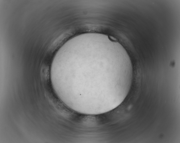 X0000116510123200912231241