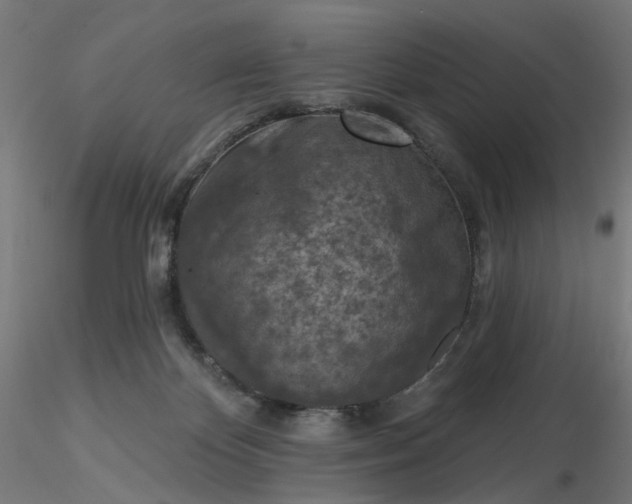 X0000116510124200912231241