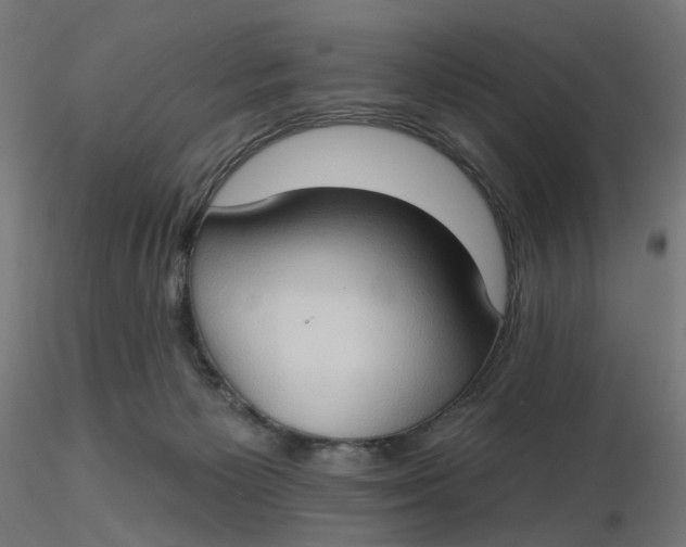 X0000116510125200912231241