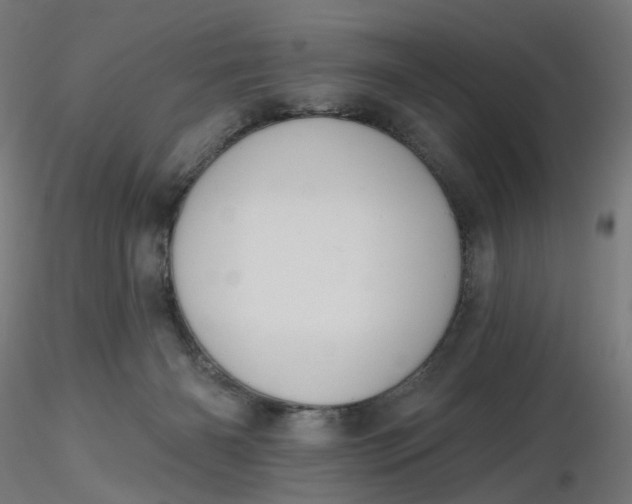 X0000116510126200912231241