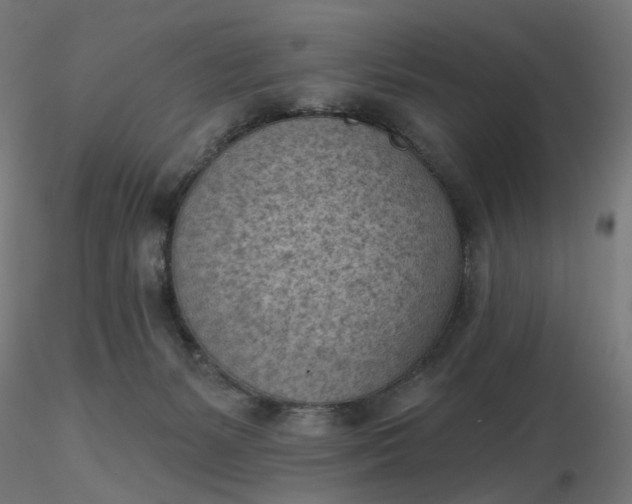 X0000116510127200912231241