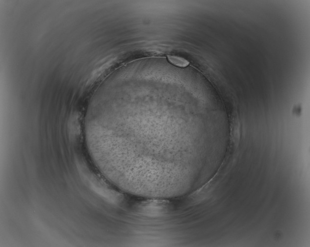 X0000116510128200912231241