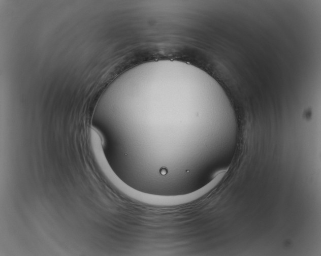 X0000116510129200912231241