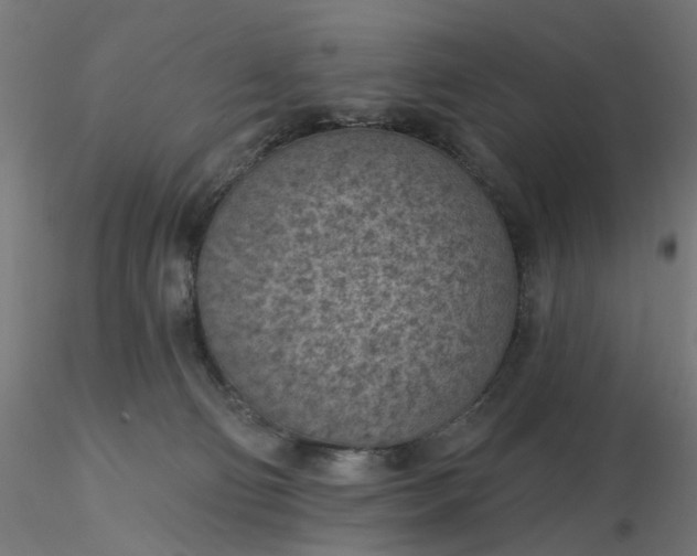 X0000116510130200912231241