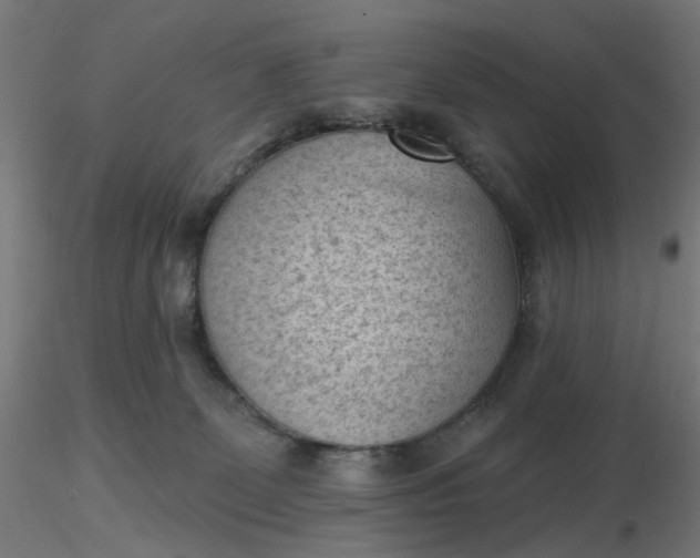 X0000116510131200912231241