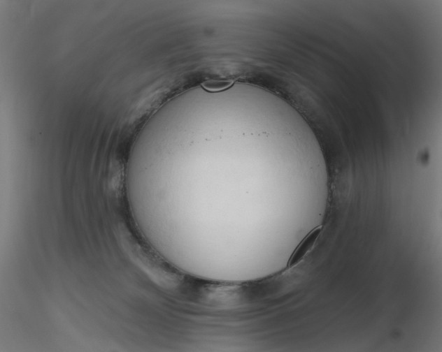 X0000116510132200912231241