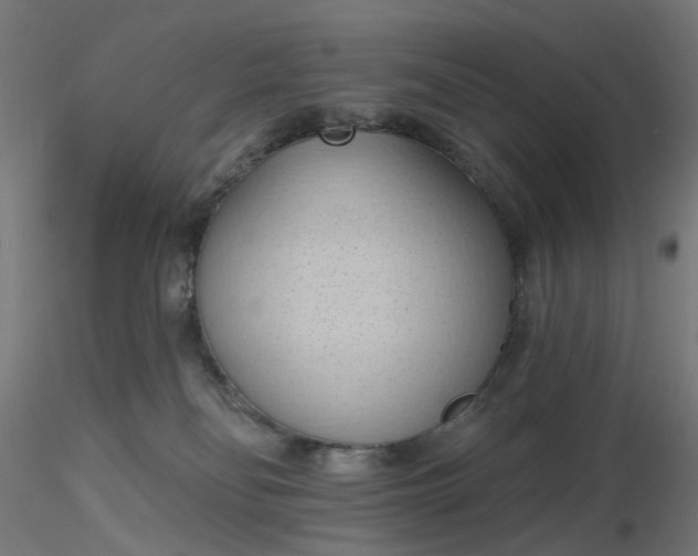 X0000116510134200912231241