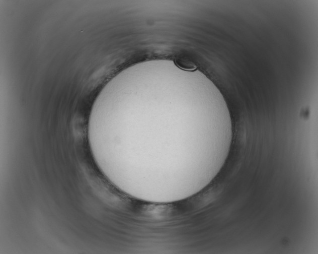 X0000116510135200912231241