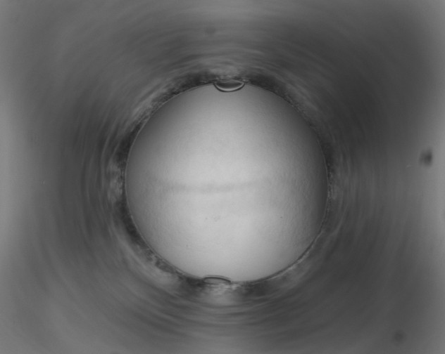 X0000116510136200912231241