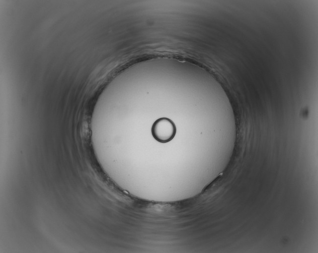 X0000116510137200912231241