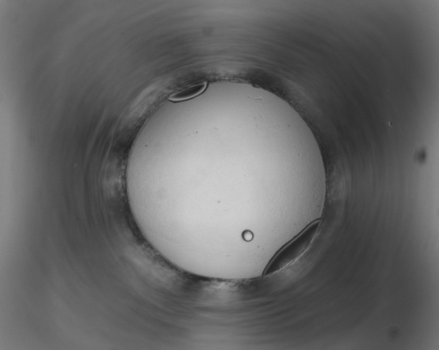 X0000116510140200912231241