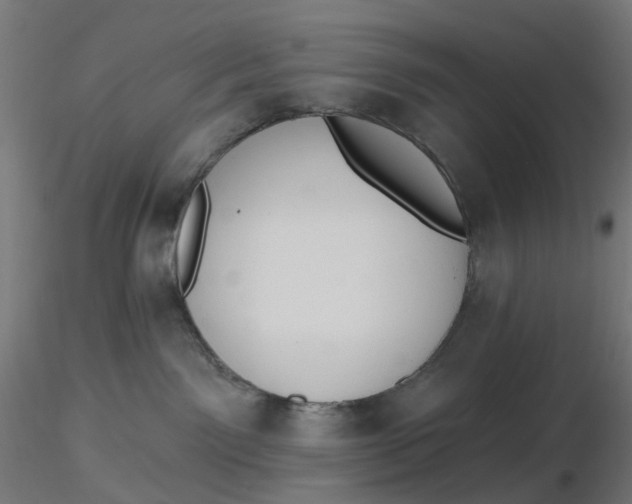 X0000116510141200912231241