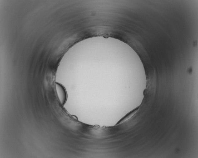 X0000116510142200912231241