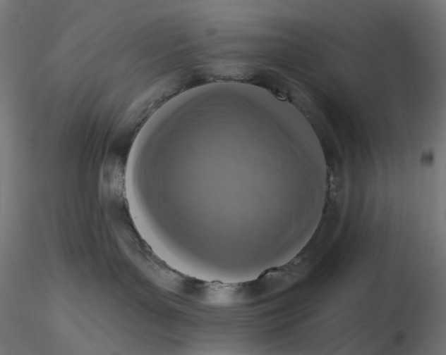 X0000116510143200912231241