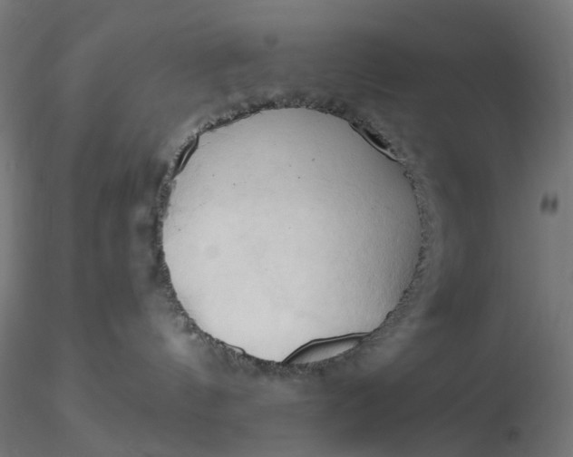 X0000116510144200912231241