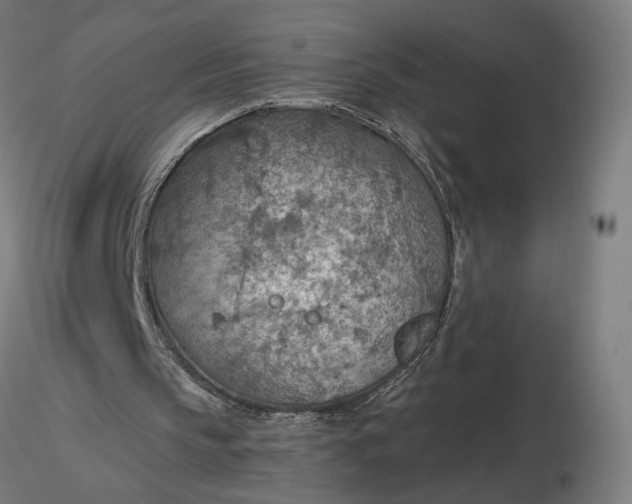 X0000116510145200912231240