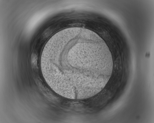 X0000116510146200912231240