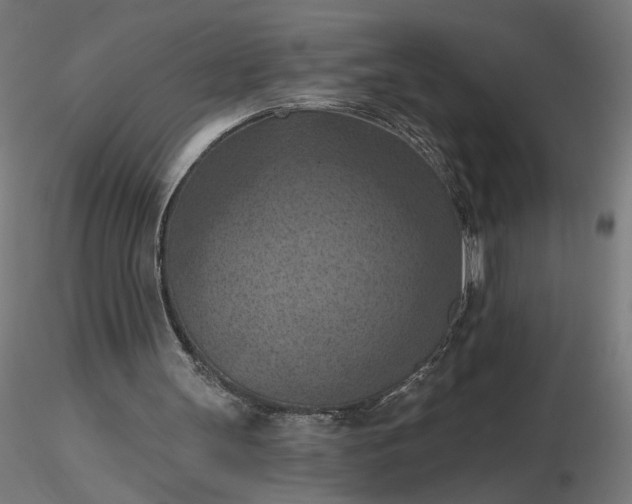 X0000116510147200912231240