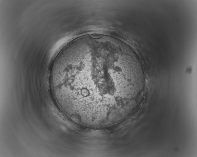 X0000116510149200912231240