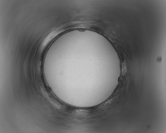 X0000116510150200912231240