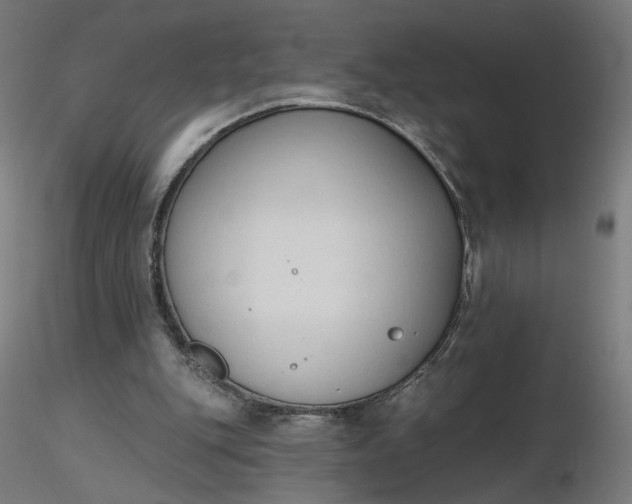 X0000116510151200912231240