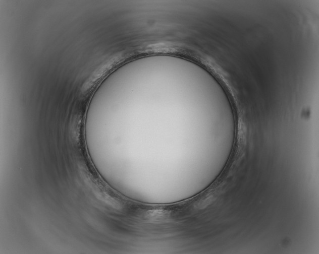 X0000116510153200912231240