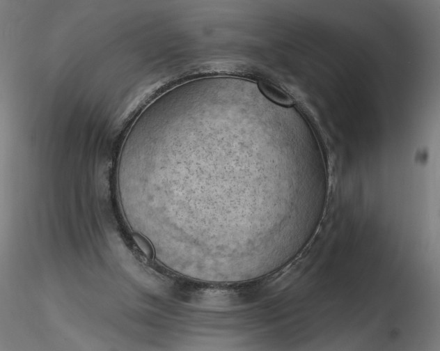 X0000116510154200912231240