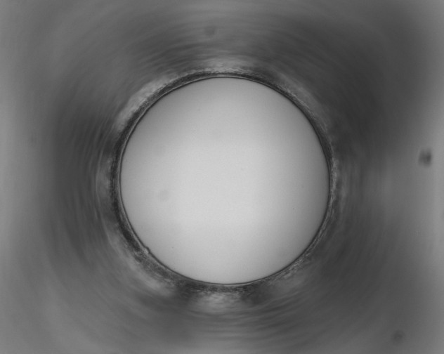 X0000116510155200912231241