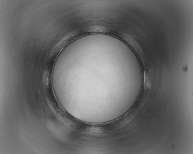 X0000116510157200912231241