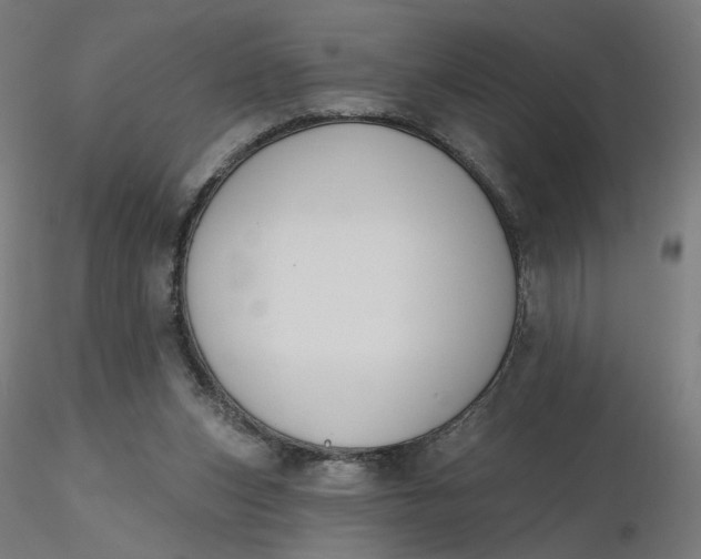 X0000116510159200912231241