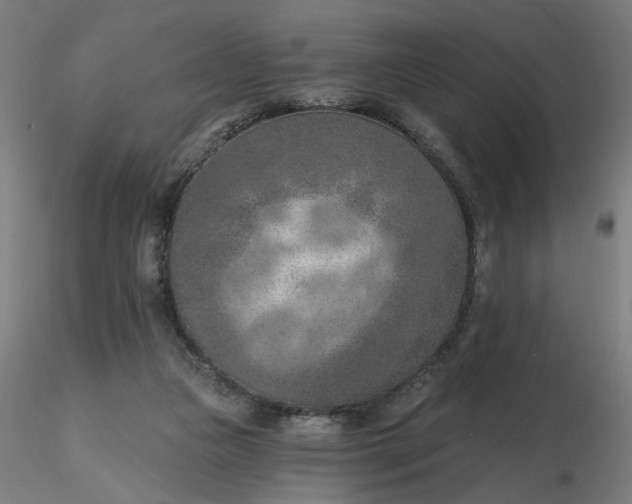 X0000116510161200912231241