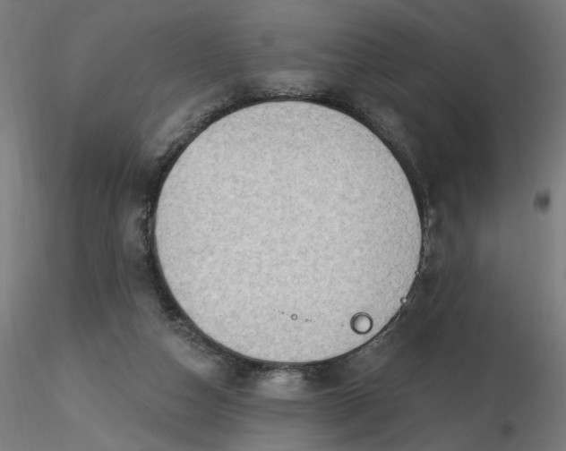 X0000116510162200912231241