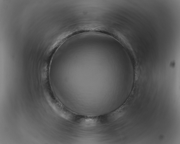 X0000116510163200912231241