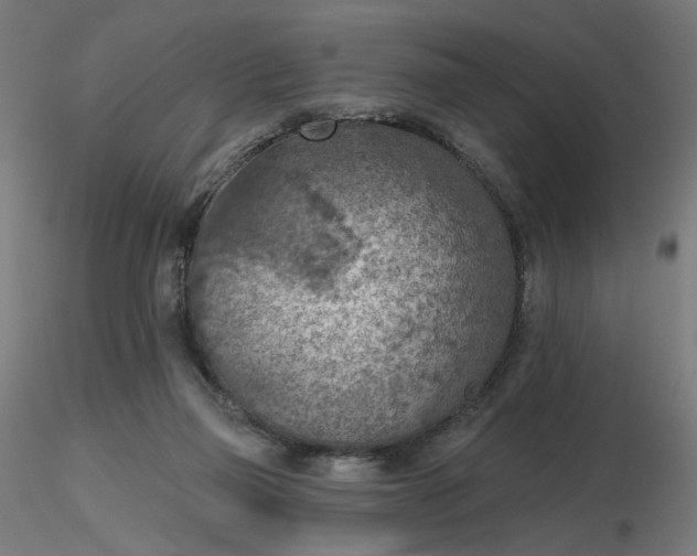 X0000116510165200912231241