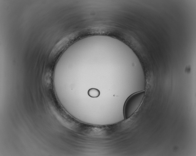 X0000116510166200912231241