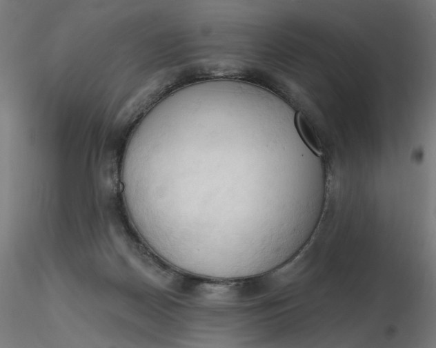 X0000116510170200912231241