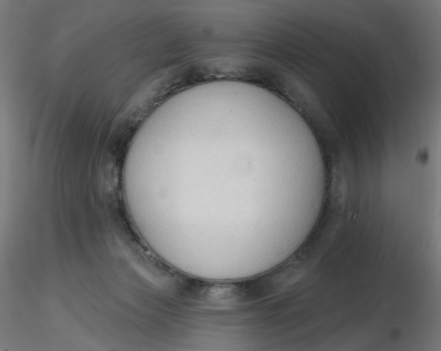 X0000116510173200912231241