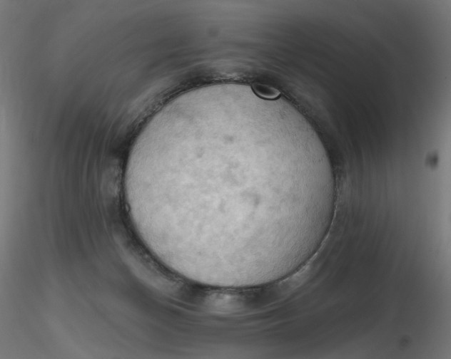 X0000116510174200912231241