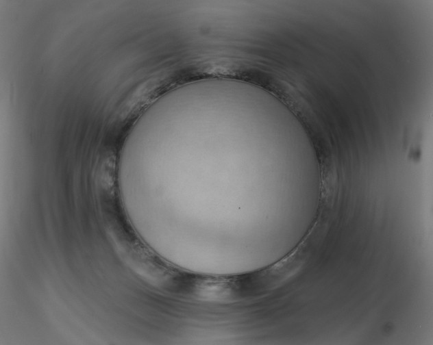 X0000116510175200912231241